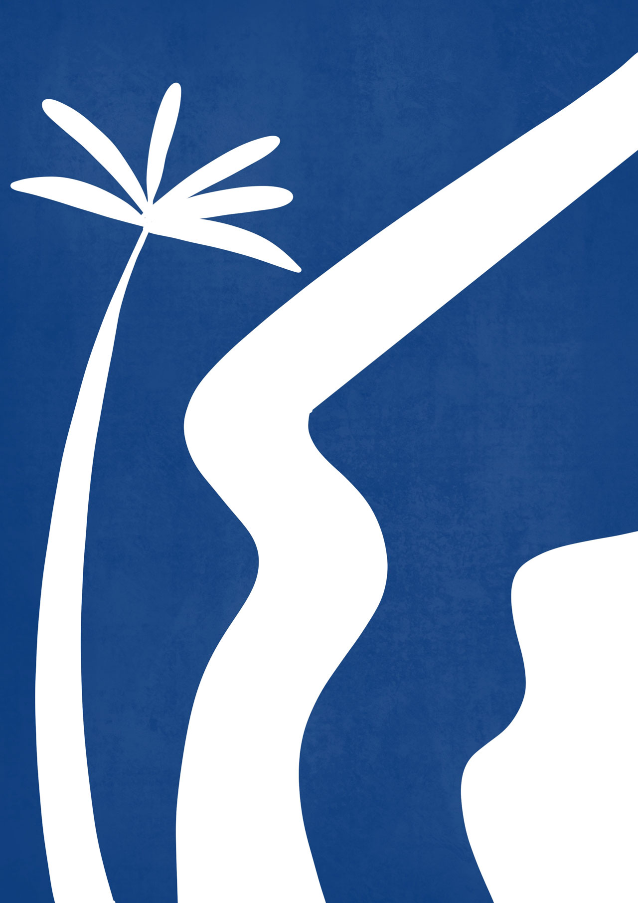 lapalmera-azul-barcelona-ilustraciones-artes-moda-cores-designer
